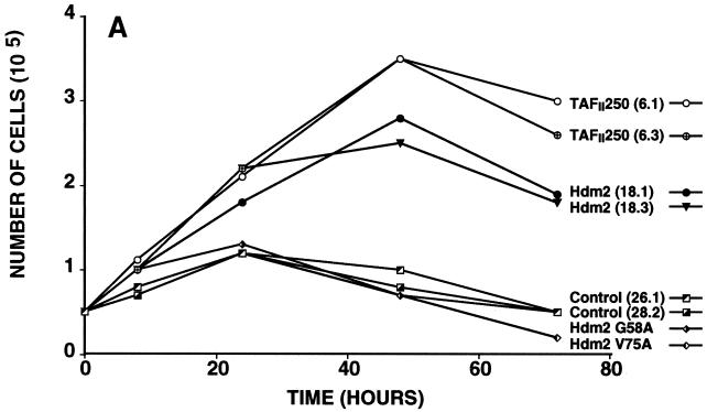 FIG. 7