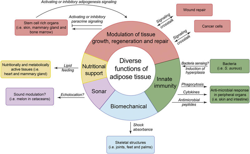 Figure 4: