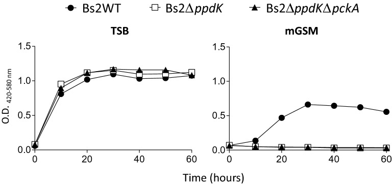 Figure 3