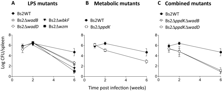 Figure 5