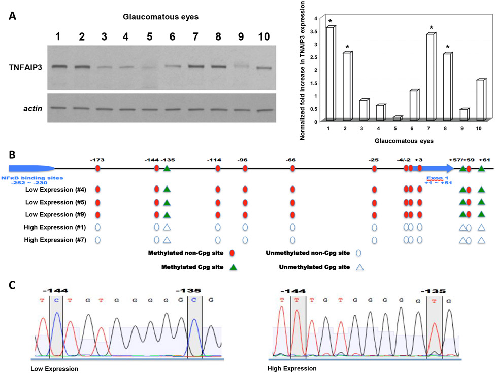 Figure 10.