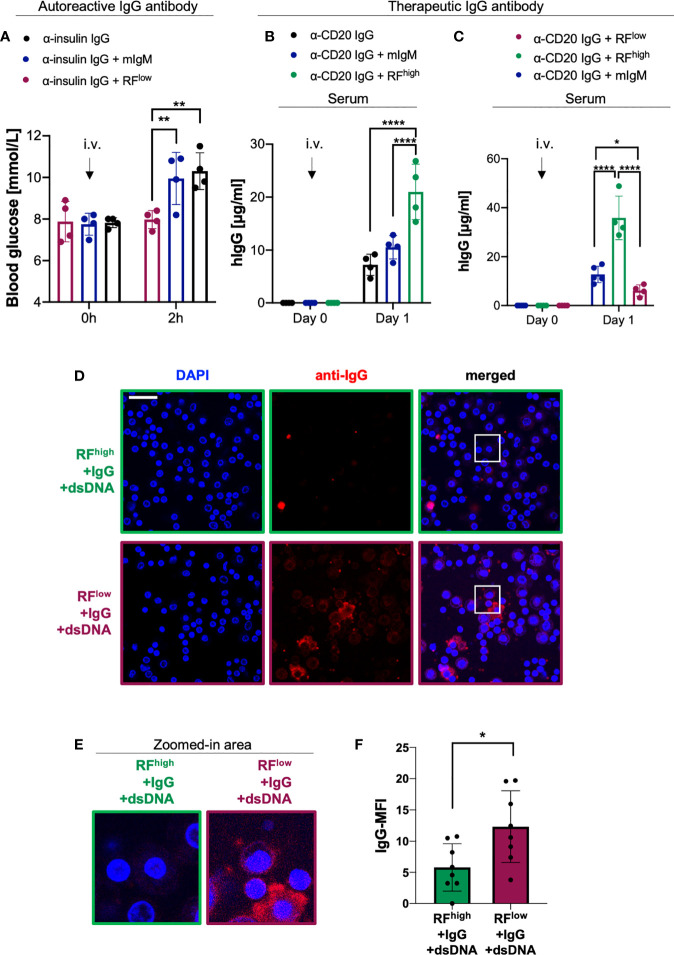 Figure 4