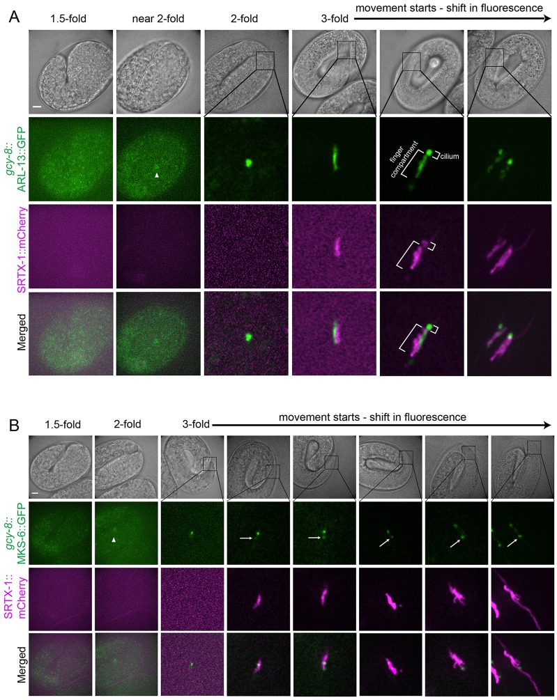 Fig. 3.