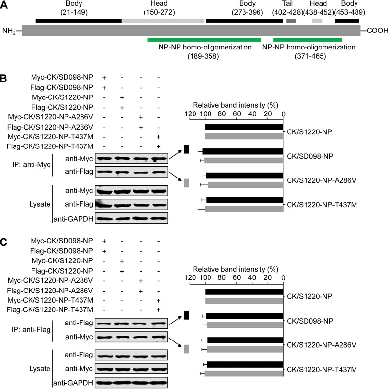 FIG 6