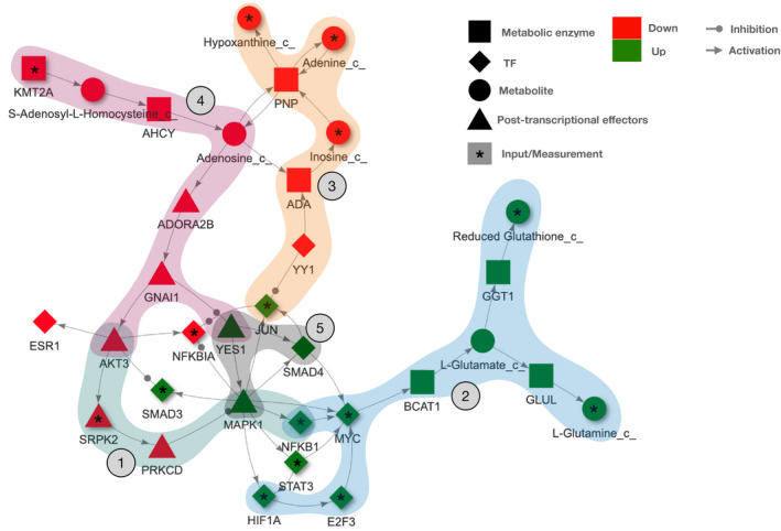 Figure 4