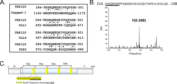 FIG 1