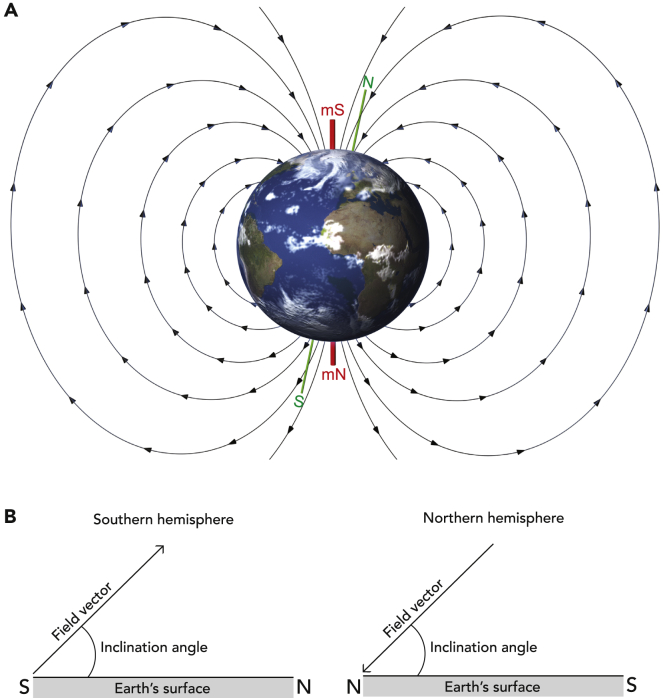 Figure 1