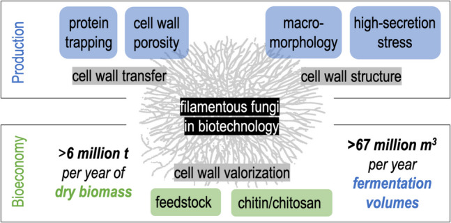 graphic file with name 253_2025_13512_Figa_HTML.jpg