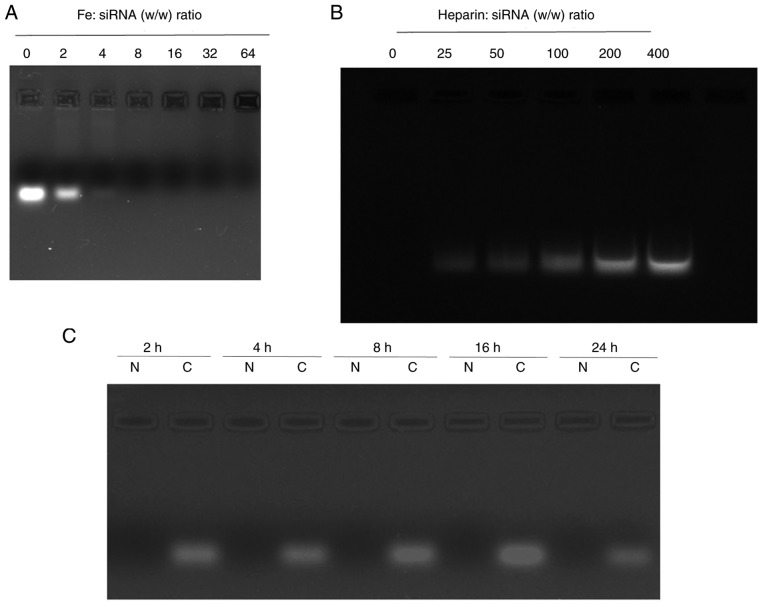 Figure 2.