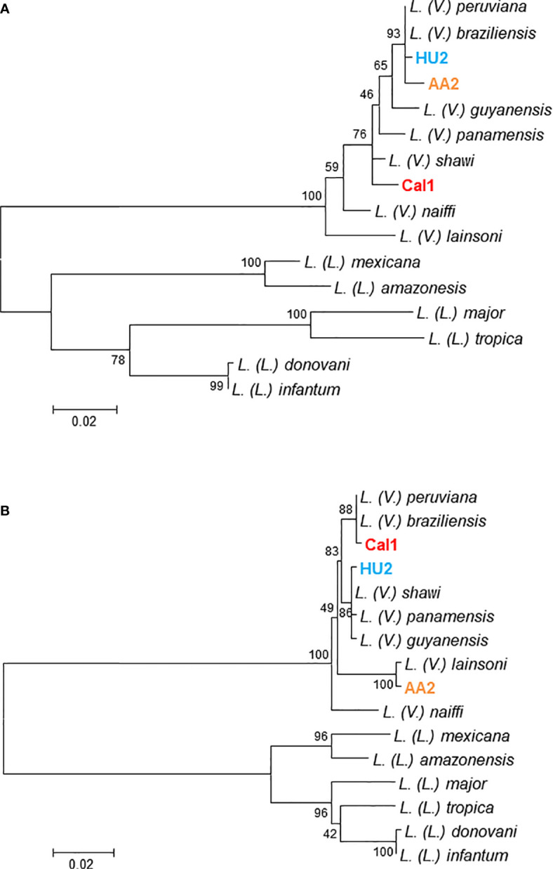 Figure 2