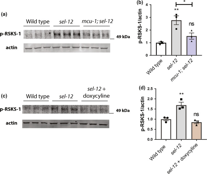 FIGURE 2