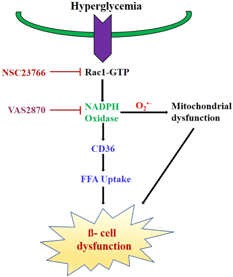 Fig. 7.