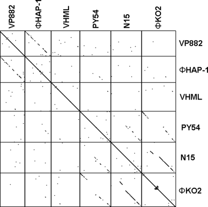 FIG. 6.