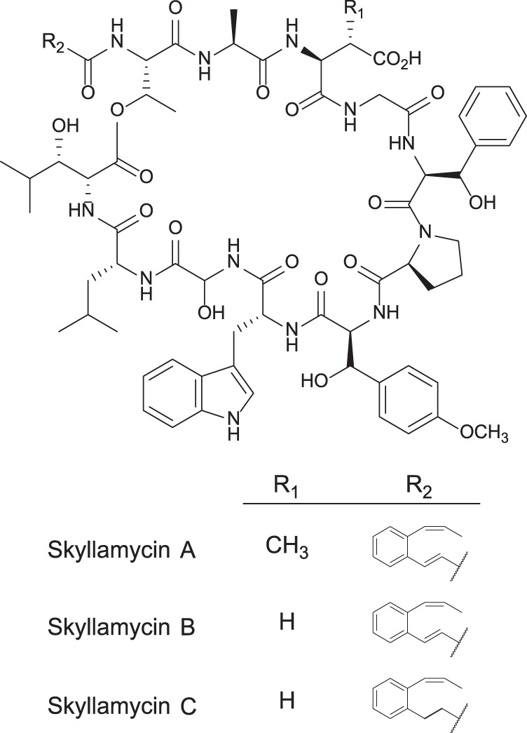 FIG 1