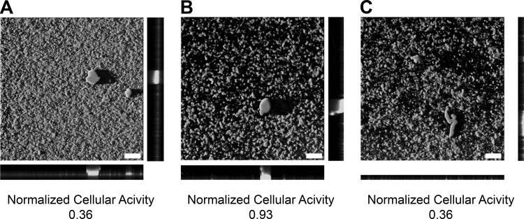 FIG 6