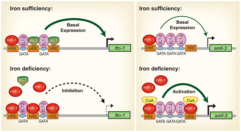 FIGURE 2