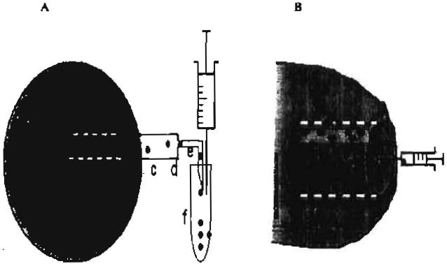 Fig. (1)