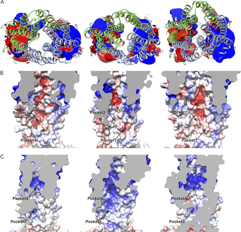 FIGURE 4.