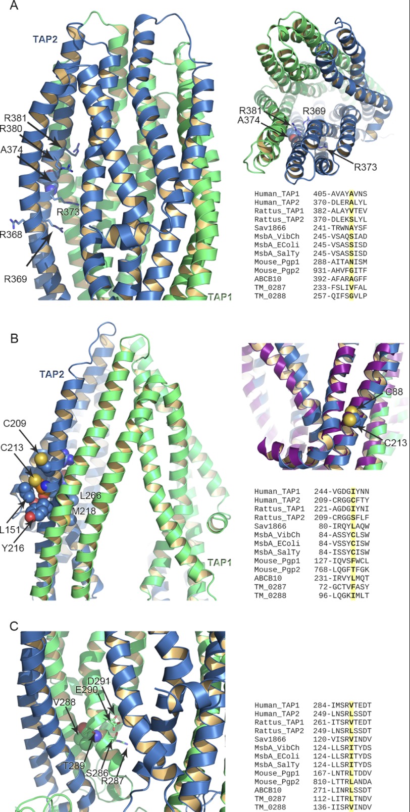 FIGURE 3.