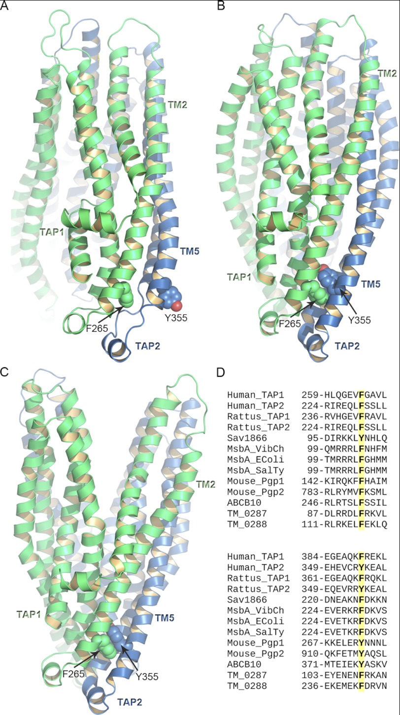 FIGURE 2.