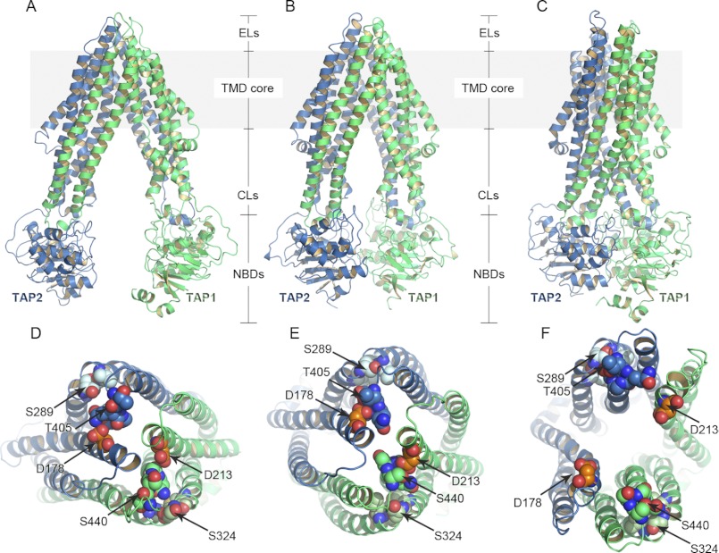 FIGURE 1.