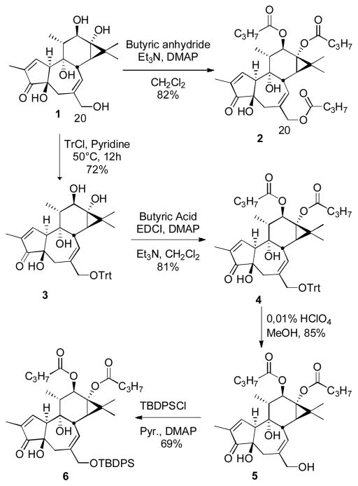 Scheme 2
