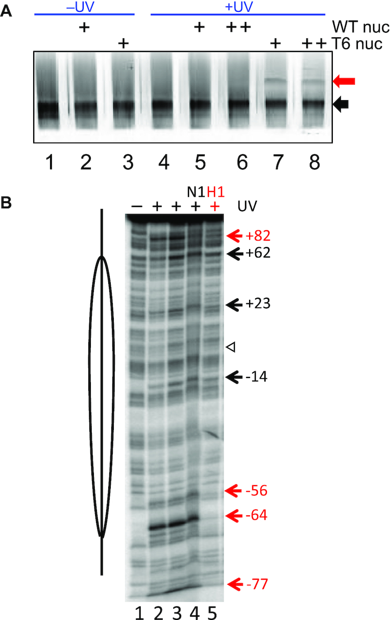 Figure 7.