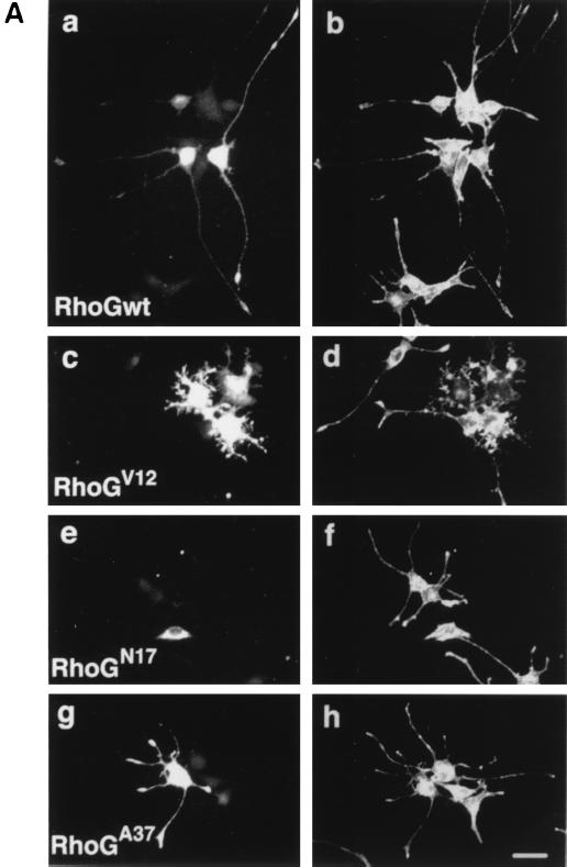 FIG. 6