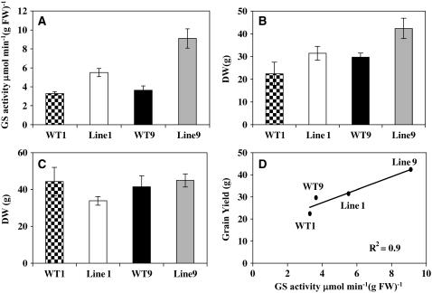 Figure 12.