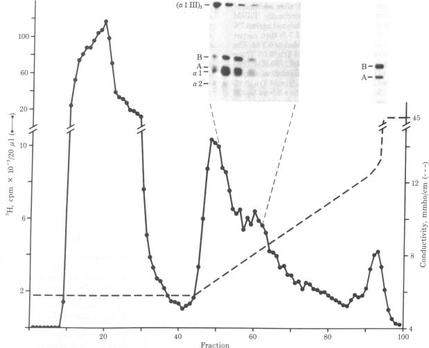 graphic file with name pnas00498-0189-a.jpg