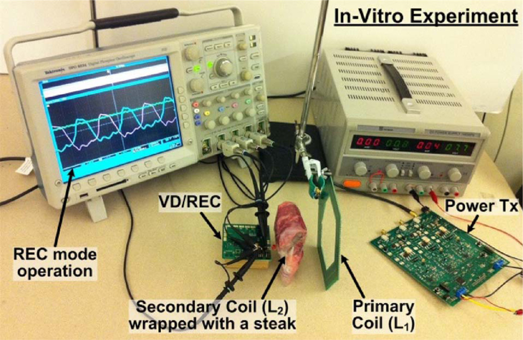 Fig. 11