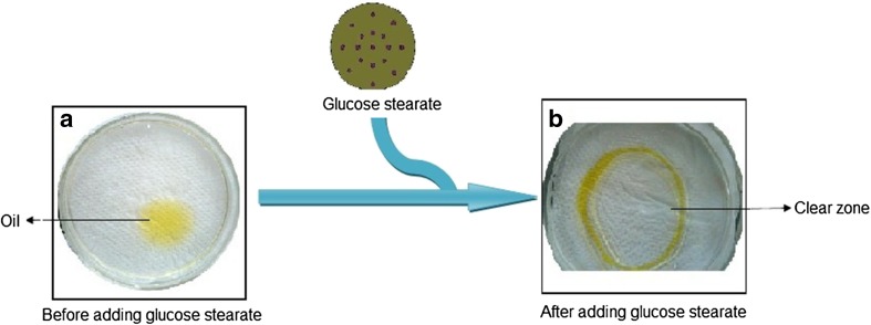 Fig. 8