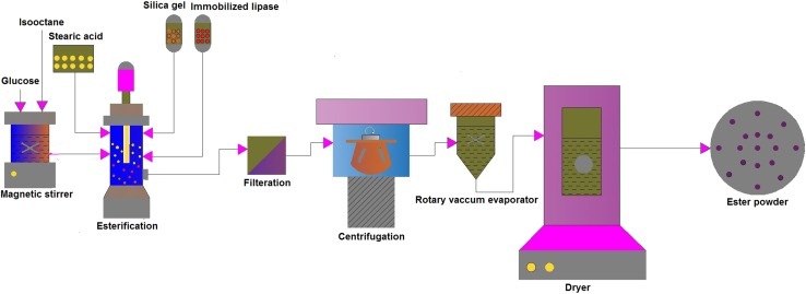 Fig. 6