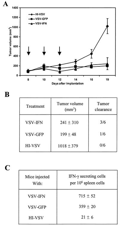 FIG. 7.