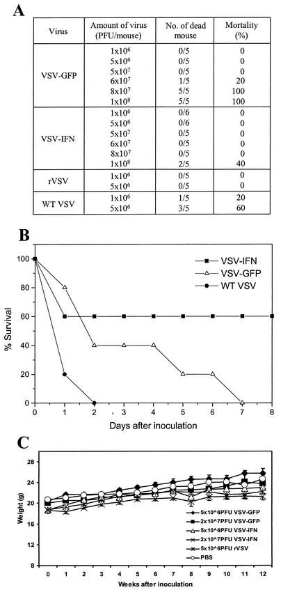 FIG. 6.