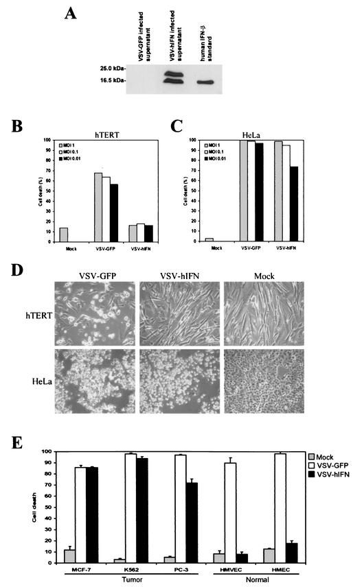 FIG.4.