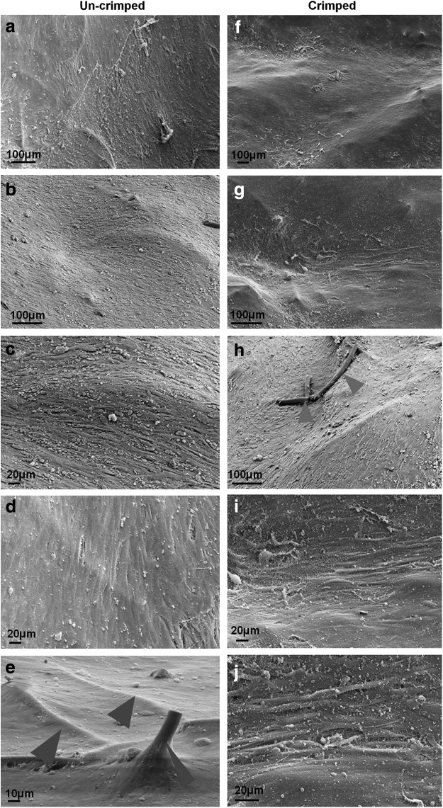 FIG. 6.