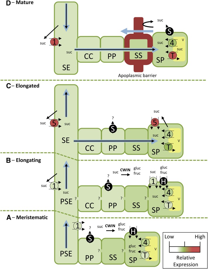 Figure 7.