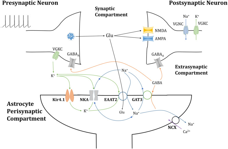 FIGURE 1