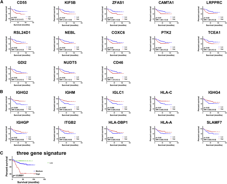 Figure 5