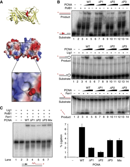 Figure 6