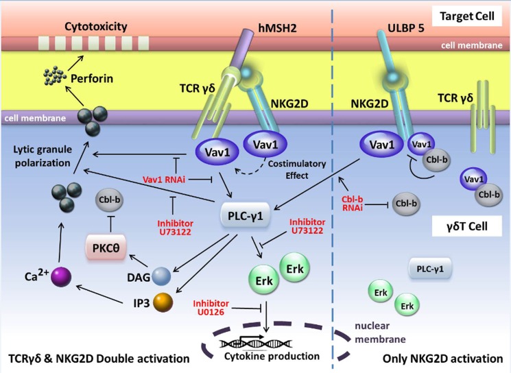 FIGURE 9.