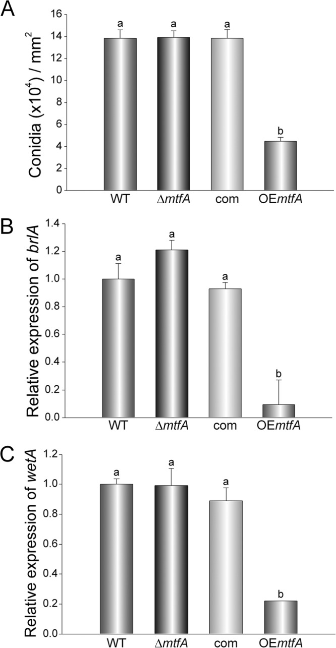 FIG 4