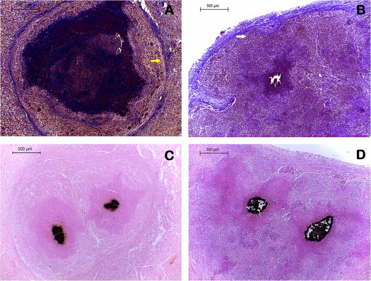 Fig 3