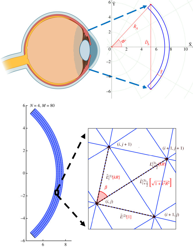 Figure 1. 