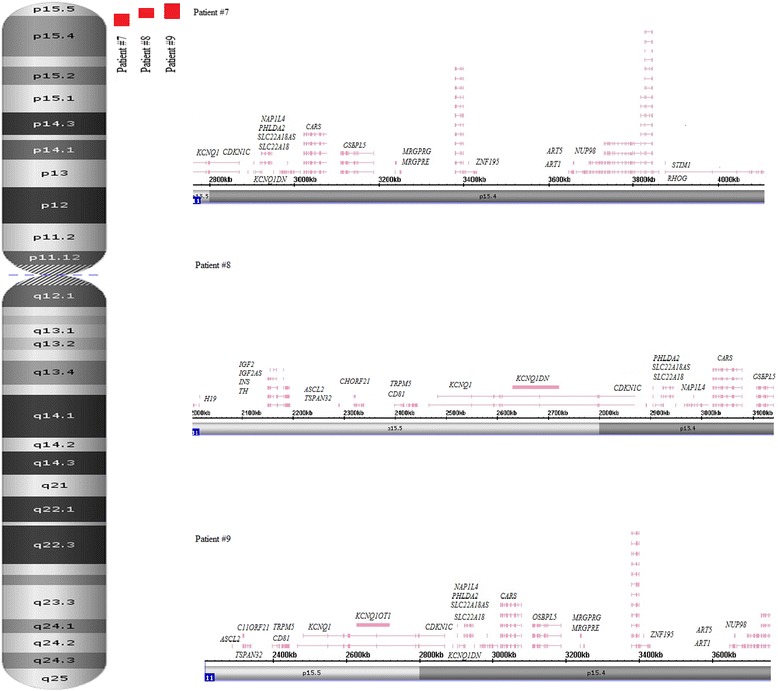 Fig. 2