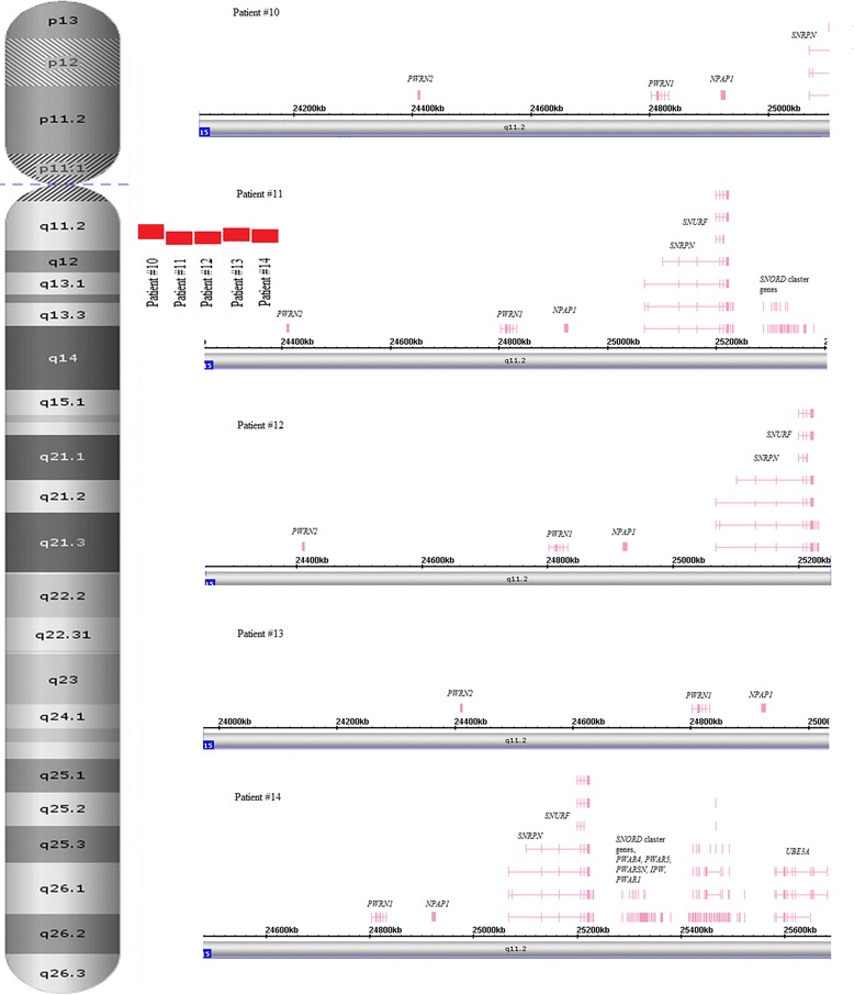 Fig. 3