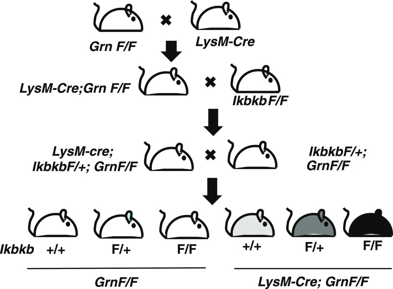 Fig. S4.