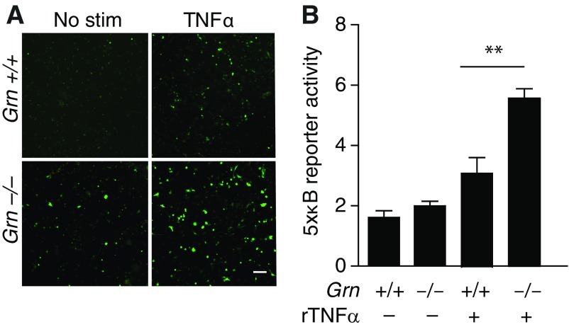 Fig. S3.