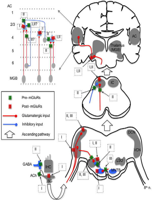 Figure 1: